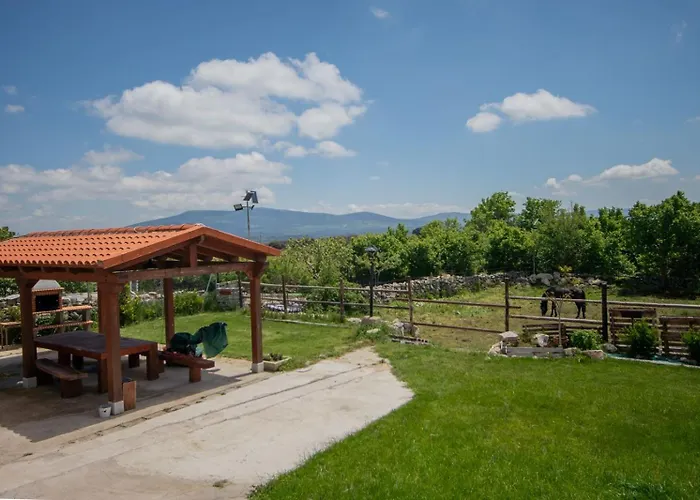 La Huerta Del Curato Ii * Cortos